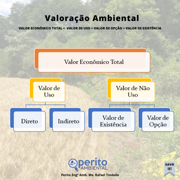 O que é Valoração Ambiental O Perito Ambiental Seu guia definitivo