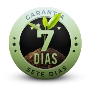 Perito Ambiental