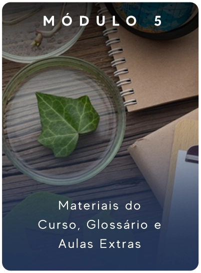 LP 2 - abril dia 28 entrega - BANNER SEPARADOS mobile 08 e
