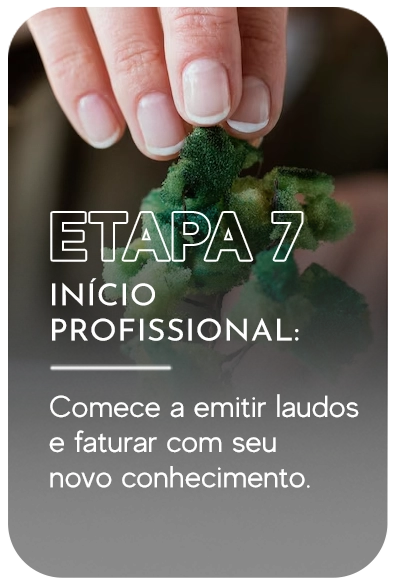Curso de Avaliação de ruído Ambiental