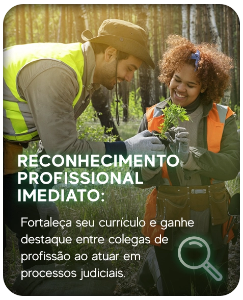Início