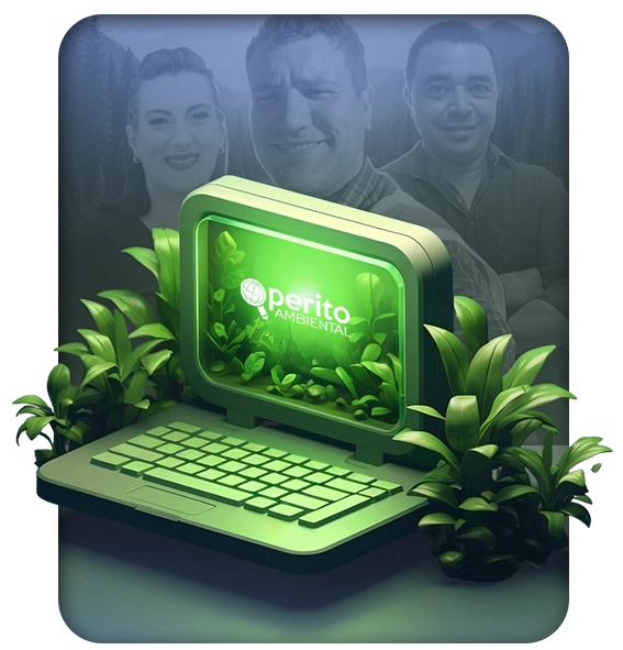 Início