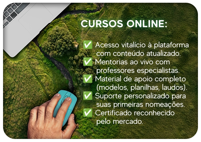 Início