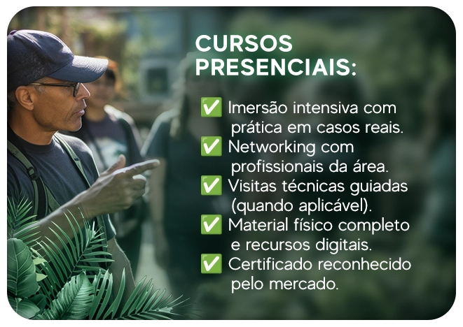 Início
